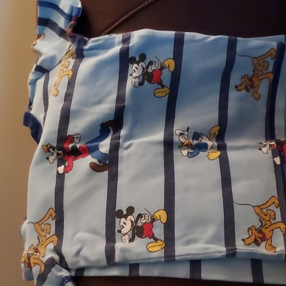 Disney park matching shirt and pants